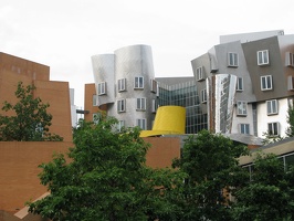 IMG_2082 Stata Center